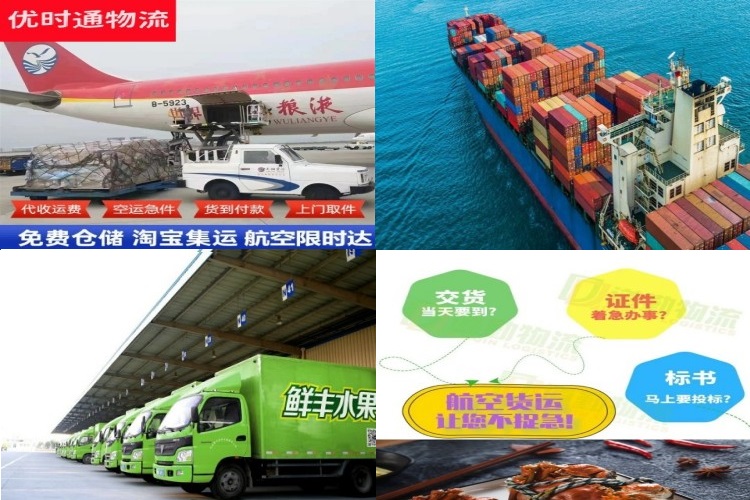 维西到爱沙尼亚航空货运公司-维西到爱沙尼亚物流专线